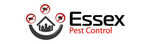 pest control essex